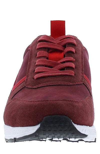 English Laundry Kali Suede Sneaker In Red