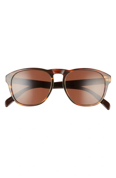 Celine 57mm Pantos Sunglasses In Brown