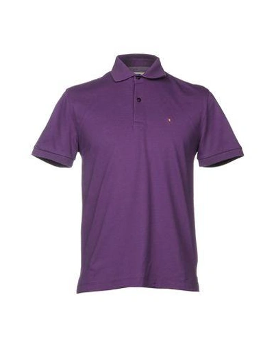 Ballantyne Polo Shirt In Purple