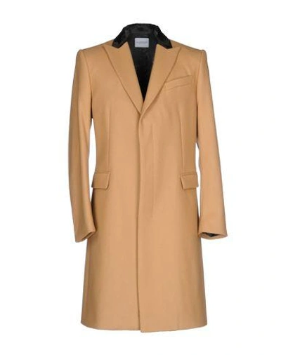 All Apologies Coats In Camel