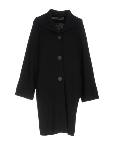 D-exterior Coat In Black