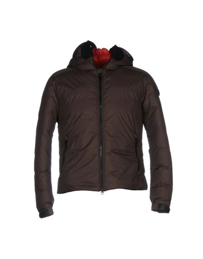 Ai Riders On The Storm Down Jackets In Dark Brown