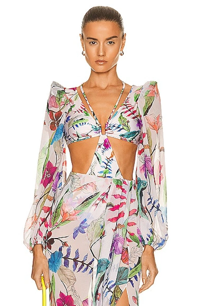 Patbo Zamia Floral-printed Cut-out Bodysuit In White,multi