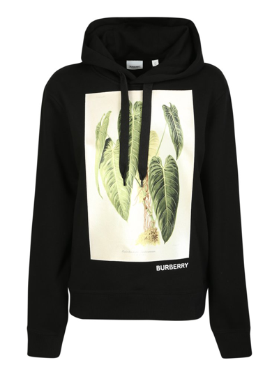 Burberry Black Hoodie With Botanical Print