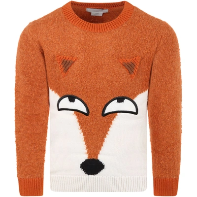 Stella Mccartney Kids' Multicolor Sweater For Boy With Fox In Brown