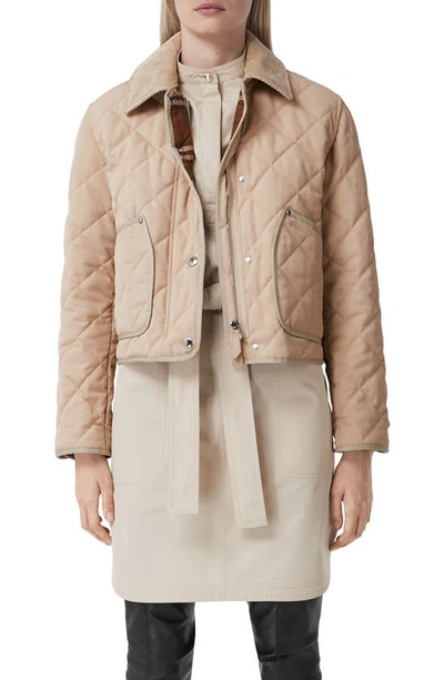 Burberry Lanford Corduroy Collar Quilted Jacket In Brown