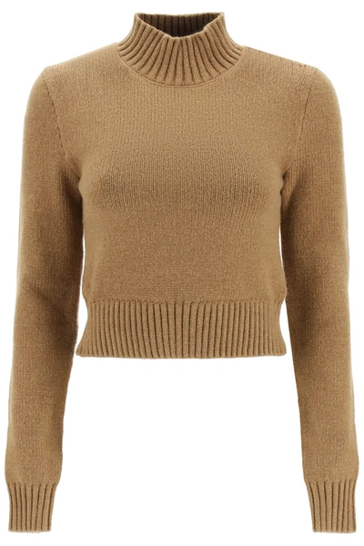 Burberry Monogram Motif Cotton Blend Cropped Sweater In Brown