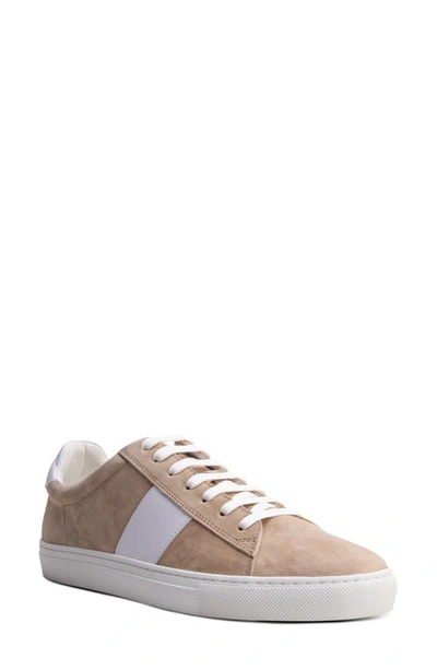 Blake Mckay Jay Stripe Lace To Toe Trainer In Tan Suede/ White