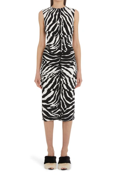 Dolce & Gabbana Zebra-print Ruched Cady Midi Dress In Animal Print