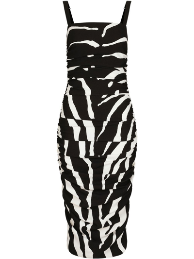 Dolce & Gabbana Zebra Printed Stretch Cady Midi Dress In Black,white