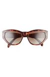 Celine Bold 3 Dots 54mm Cat Eye Sunglasses In Dark Havana / Brown Polarized