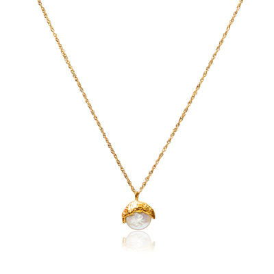 Tseatjewelry Bay Necklace In Gold