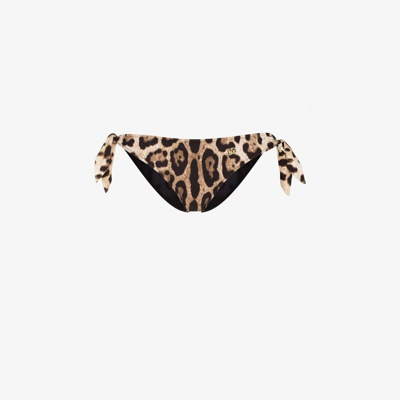Dolce & Gabbana Leopard-print Bikini Bottoms In Brown
