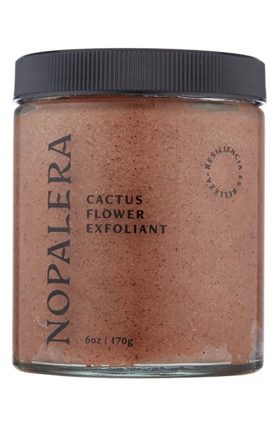 Nopalera Hibiscus Cactus Flower Exfoliant