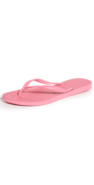 Havaianas Top Logomania Rubber Flip-flops In Pink