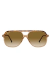 Ray Ban 55mm Navigator Sunglasses In Havana Brown/ Clear Brown