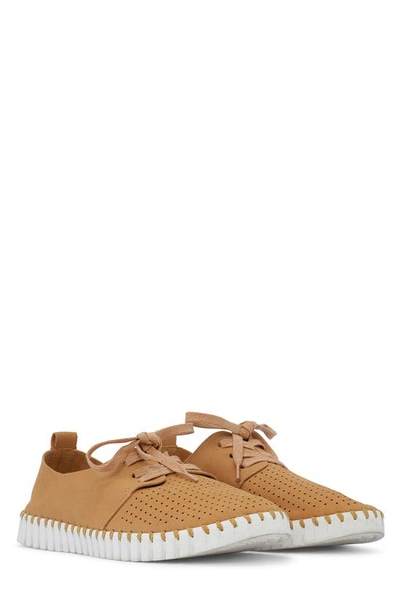 Ilse Jacobsen Tulip Sneaker In Cashew