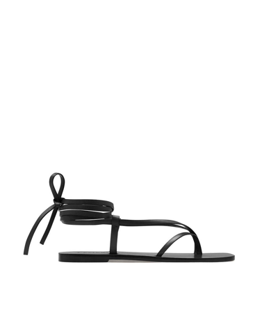 A.emery 'nolan' Multi Strap Toe Ring Ankle Wrap Flat Sandals In Black