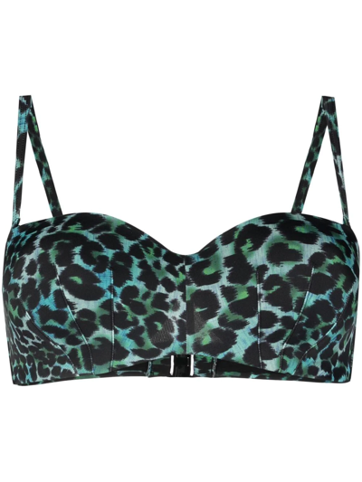 Marlies Dekkers Panthera Leopard-print Bikini-top In Black