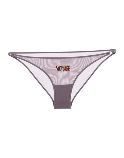 Love Stories Brief In Lilac