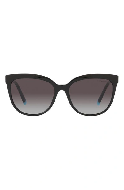 Tiffany & Co 55mm Gradient Cat Eye Sunglasses In Black/ Grey Gradient