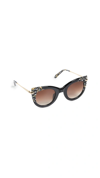Krewe Laveau Cat-eye Sunglasses, Brown Tortoise In Black