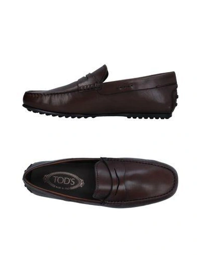 Tod's Loafers In Dark Brown