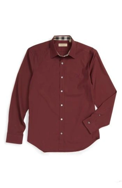 Burberry Cambridge Slim Fit Button-down Shirt In Oxblood