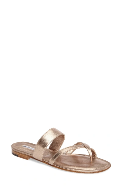 Manolo Blahnik Slide Sandal In Light Rose Gold
