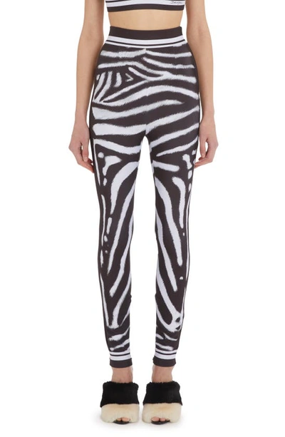 Dolce & Gabbana Zebra Print High-waisted Leggings