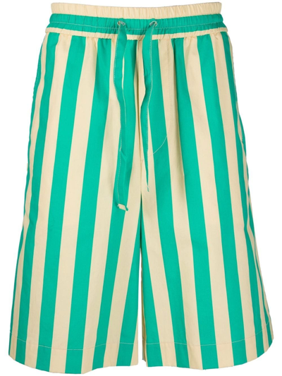 Sunnei Bermuda Shorts With Striped Pattern In Multicolour