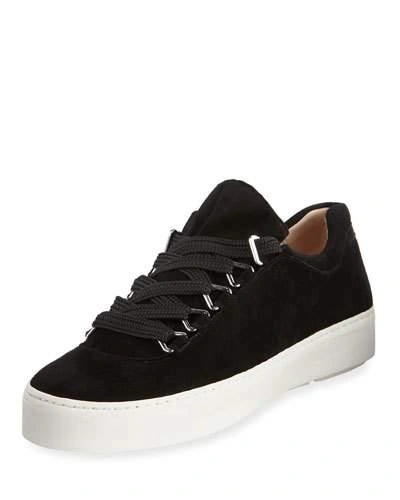 Stuart Weitzman Gaming Lace-up Suede Sneakers In Black