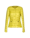 Herno Down Jacket In Yellow