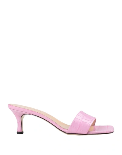 Mychalom Sandals In Pink