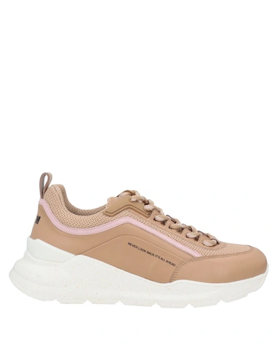 Msgm Sneakers In Light Brown