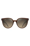 Maui Jim Mehana 55mm Polarized Plus2® Cat Eye Sunglasses In Brown/green Polarized Gradient