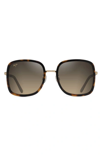 Maui Jim Pua 55mm Polarized Square Sunglasses In Tortoise With Shiny Gold