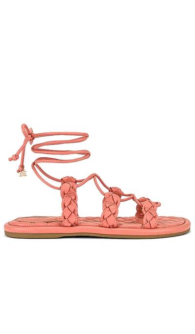 Sam Edelman Zariah Sandal In Canyon Clay