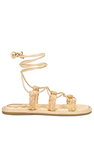 Sam Edelman Zariah 2 Sandal In Summer Sand Multi