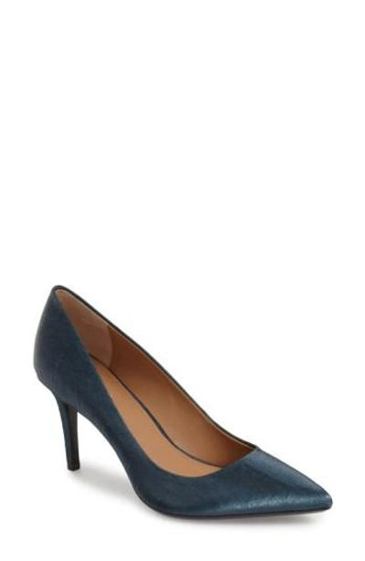 Calvin Klein 'gayle' Pointy Toe Pump In Metal Marine Linen