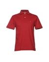 Ballantyne Polo Shirt In Maroon