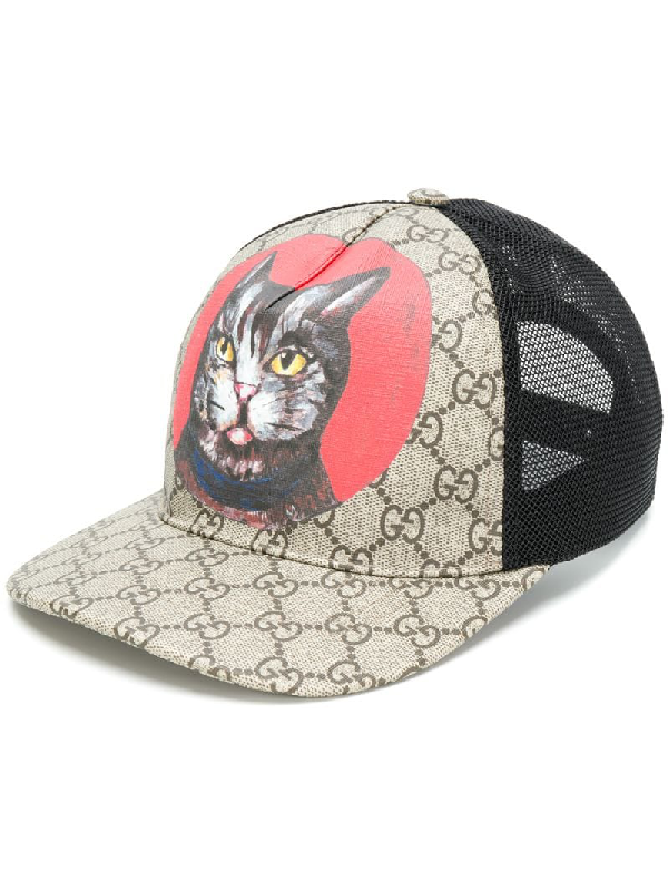 gucci gatto