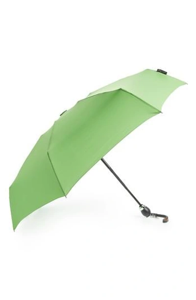 Davek Traveler Umbrella In Kiwi Green