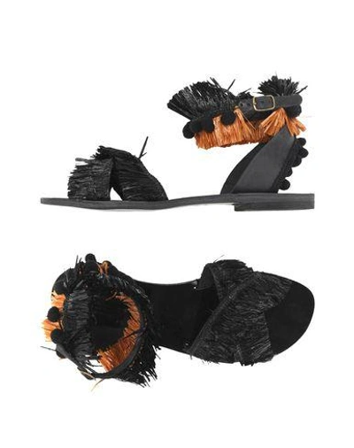 Gia Couture Sandals In Black