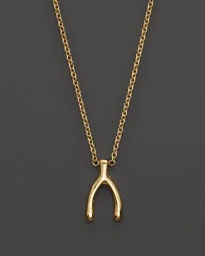 Zoë Chicco 14k Yellow Gold Small Wishbone Necklace, 16