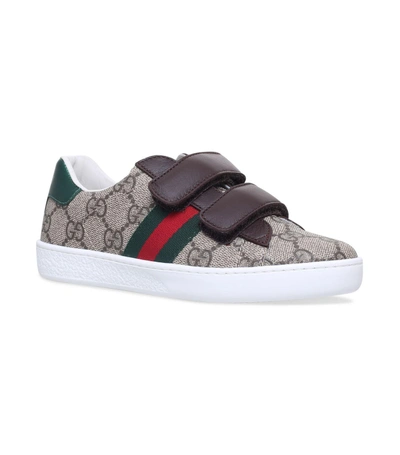 Gucci New Ace Gg Supreme Sneakers In Brown