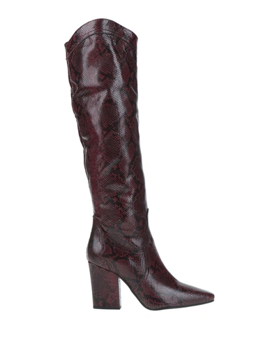 Ph 5.5 Knee Boots In Maroon