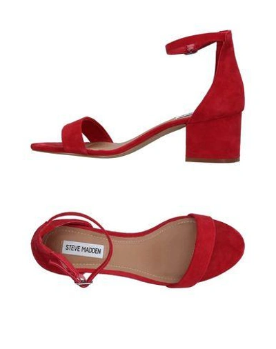 Steve Madden Sandals In Red