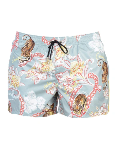 Roberto Cavalli Beachwear Swim Trunks In Sky Blue