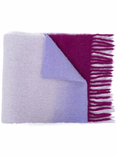 Nina Ricci Gradient-effect Felted Scarf In Purple